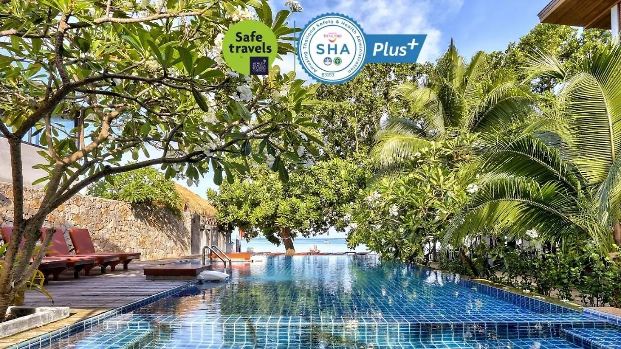Where to Stay in Sairee Beach: 6 Best Resorts on Koh Tao