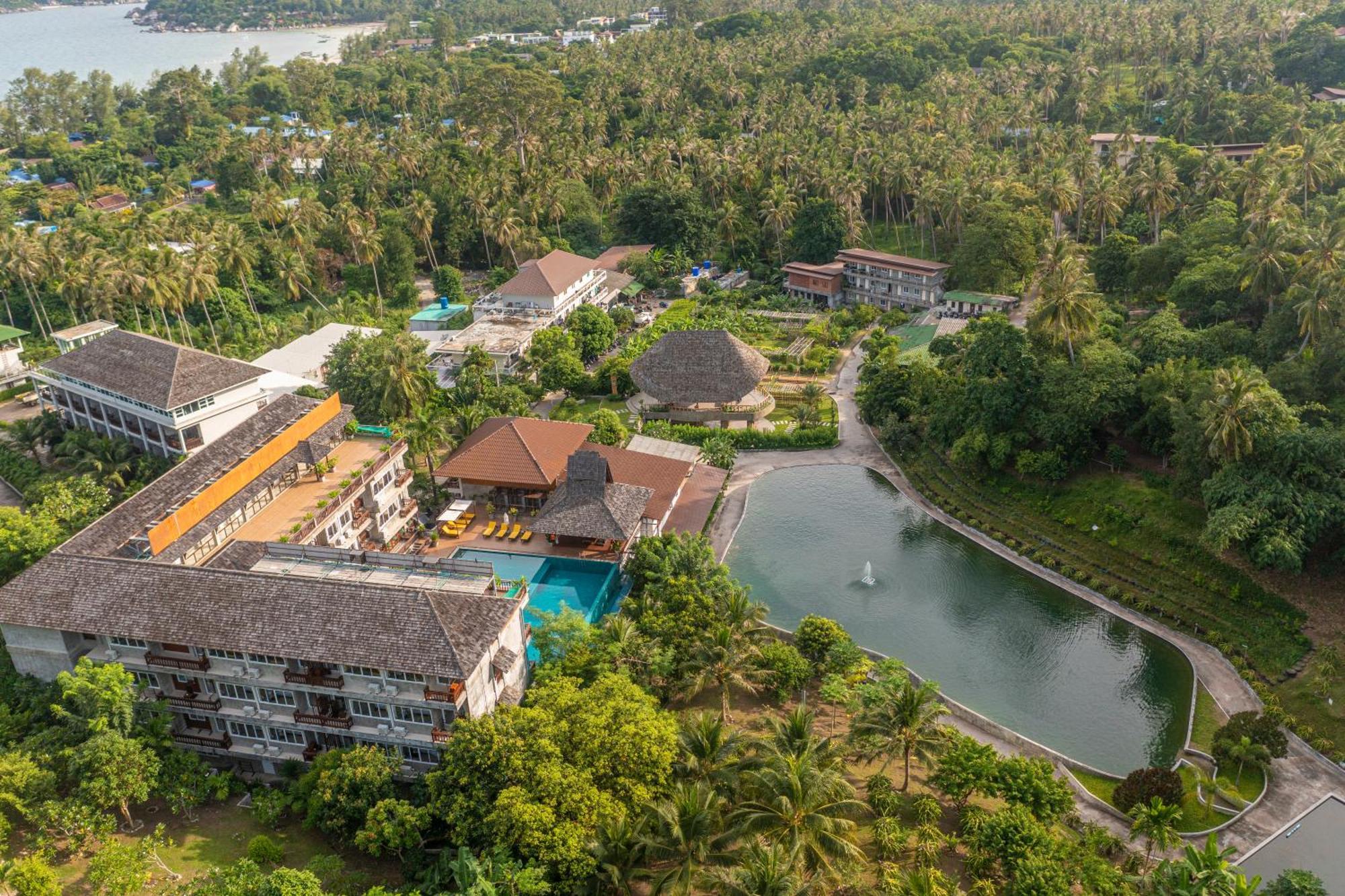 4 Resorts Near Koh Nang Yuan Worth Booking in Koh Tao